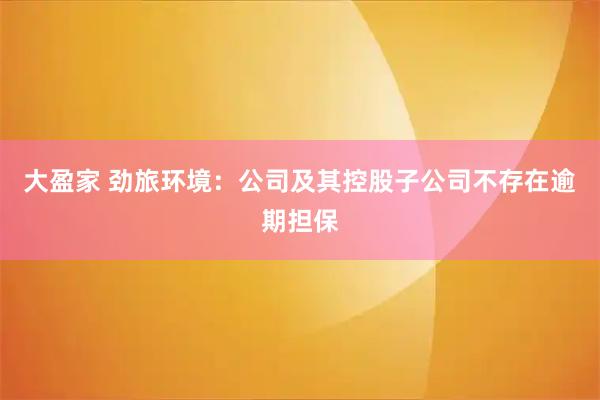 大盈家 劲旅环境：公司及其控股子公司不存在逾期担保